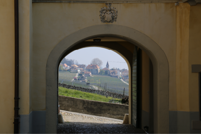 Château de Vinzel