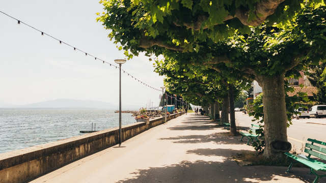 Le Quai des Alpes